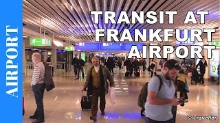 TRANSIT WALK AT FRANKFURT Airport FRA Terminal 1  Connection Flight Transfer Arriving amp Departing [upl. by Milo]